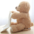 Bear Hide and Seek Toy - Mirelle